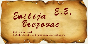 Emilija Brezovac vizit kartica